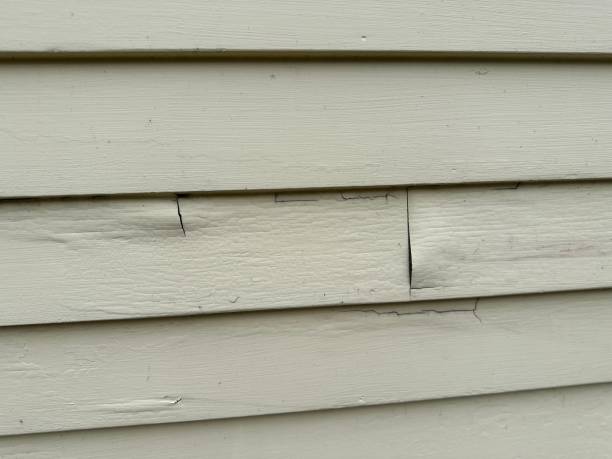 Professional Siding Installation & Repair in Apex, NC